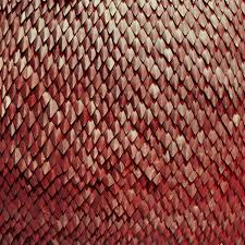 Carnelian (Ltd. Edition)