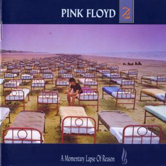 A Momentary Lapse Of Reason