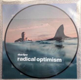 Radical Optimism Recycled Red Vinyl
