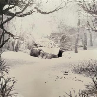 Sznz Winter
