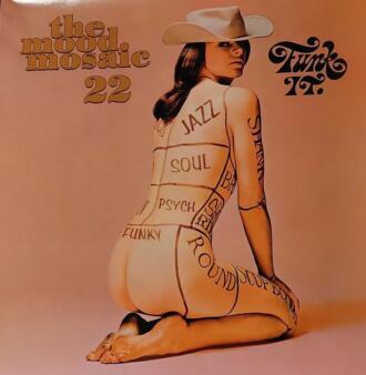 The Mood Mosaic 22 Funk It